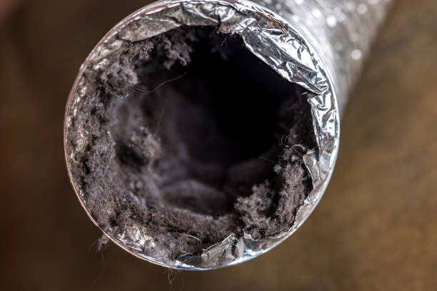 Best Air Duct Inspection  in Brookside, NJ